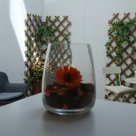 Oportoview Premium Porto